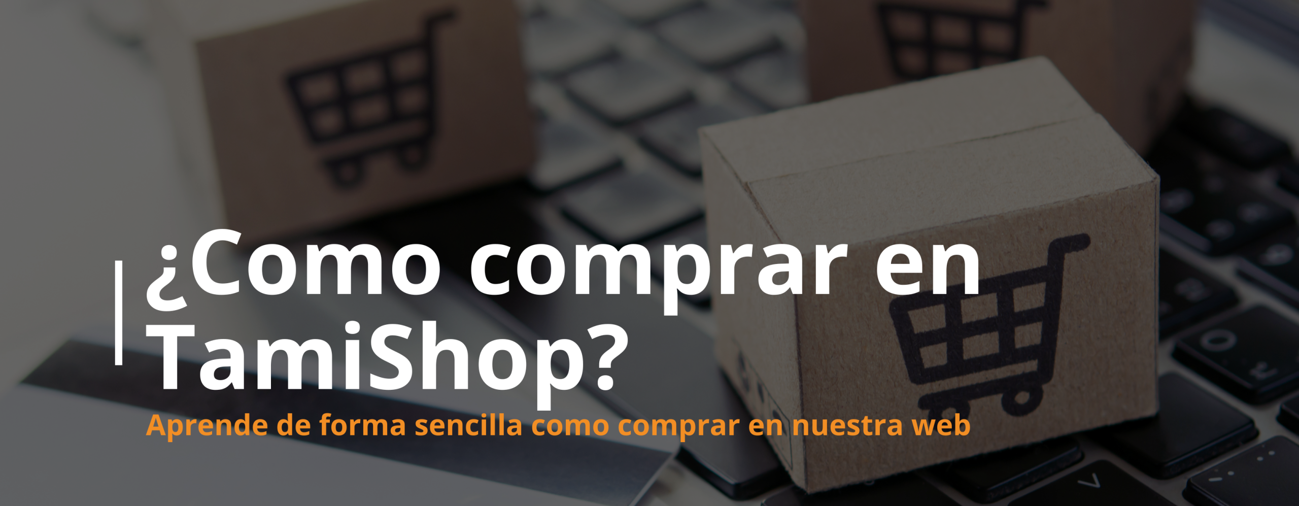 Banner TamiShop Móvil