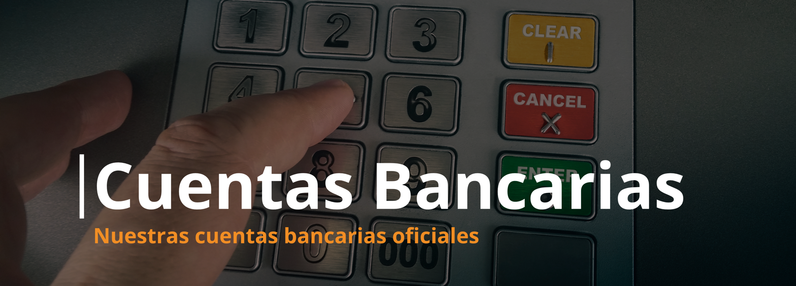 Banner TamiShop Móvil